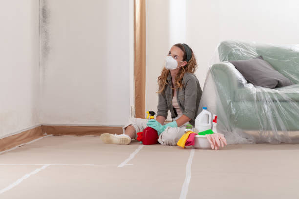 Reliable Mold Cleanup contractor in Columbus, TX by Cheap Mold Removal